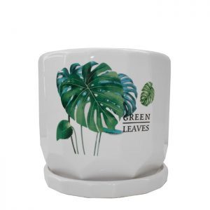 Green Leave Plant Pot