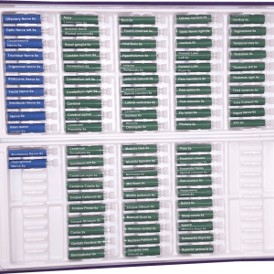 Epigenetics Brain Test Kit (82 Test Vials)