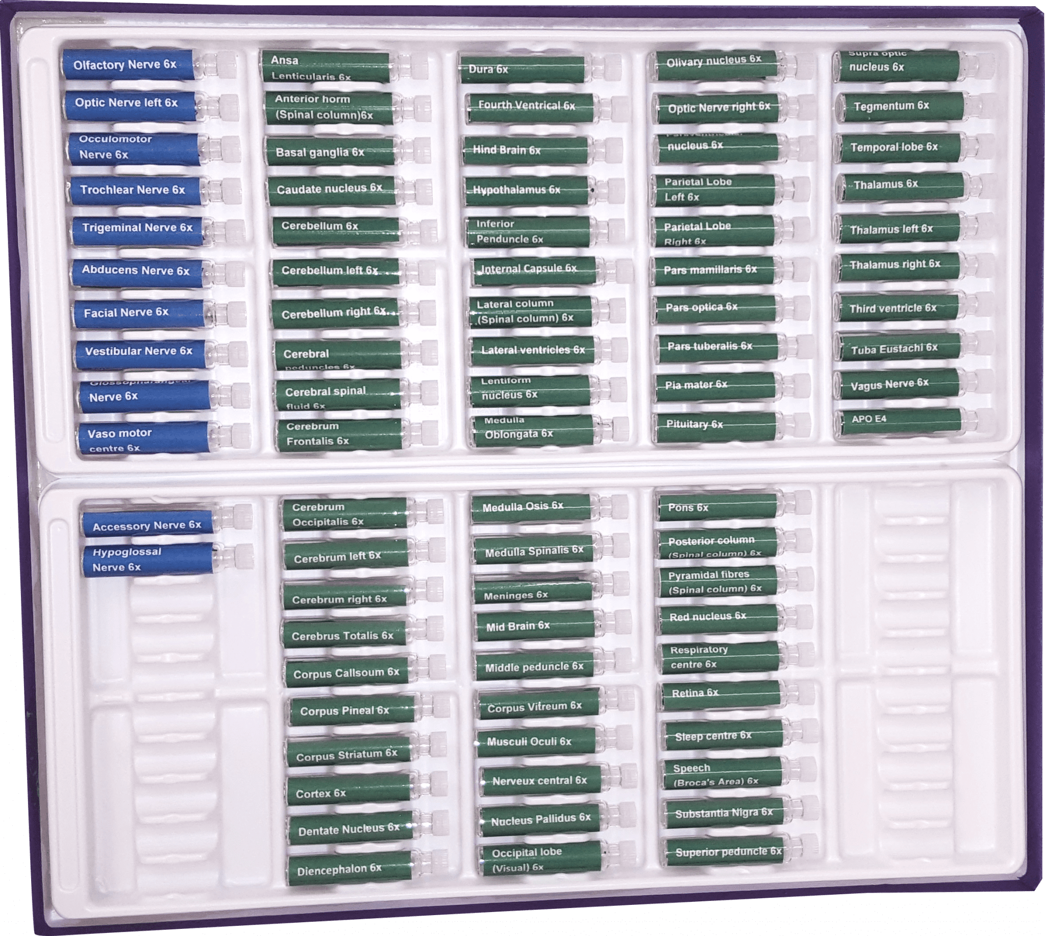 Epigenetics Brain Test Kit (82 Test Vials) - Image 2