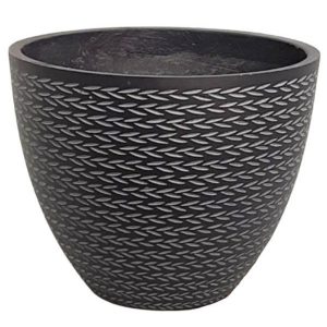 Eve Egg Black Plant Pot (+3 color option)