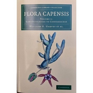 FLORA CAPENSIS Volume 1: Ranunculaceae to Connaraceae – ( a reissue of an out of print title) - Image 2