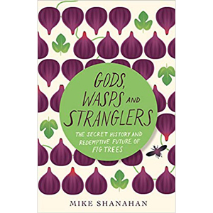 Gods Wasps and Stranglers
