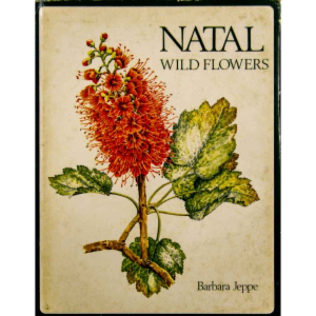 Natal Wild Flowers – Second-Hand