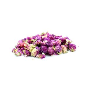 Dried Globe Amaranth – Purple